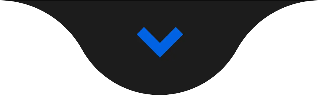 seta.webp seta.webp